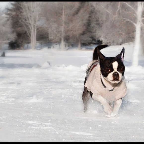 Meet your Posher, J - Picture 1 of 1